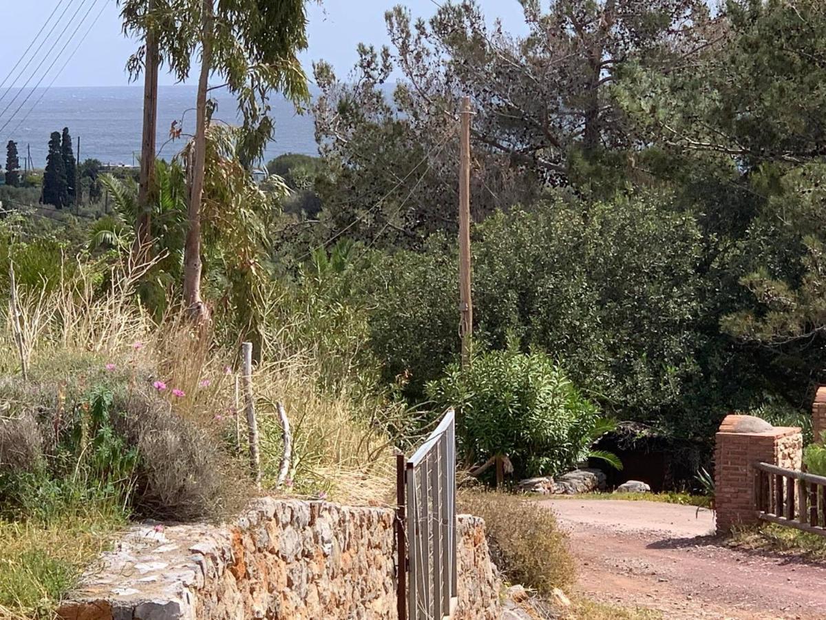 Villa Sea View Mesa Mpanta Káto Zákros 외부 사진